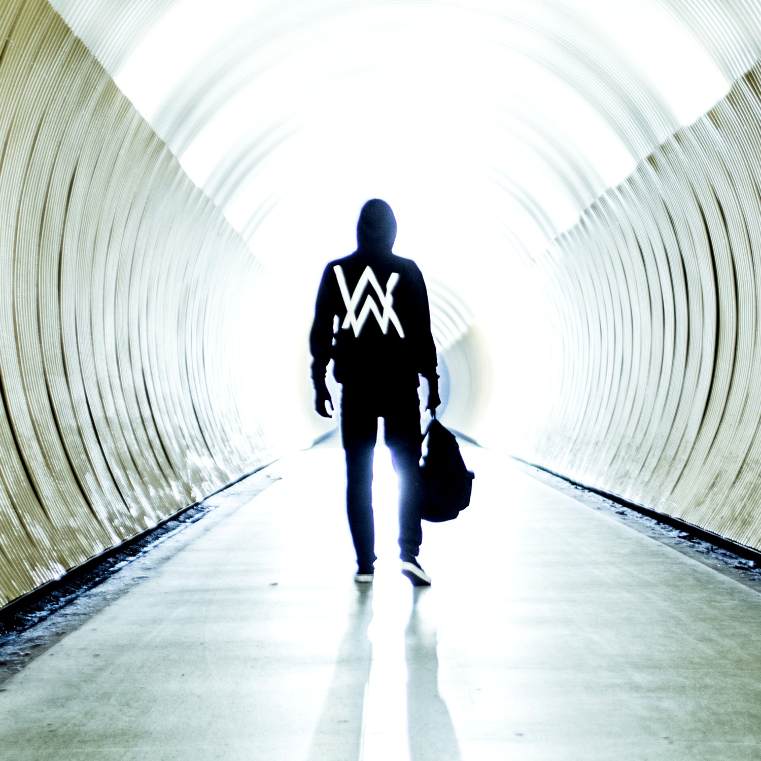 Artist Spotlight | Alan Walker | EDM Identity