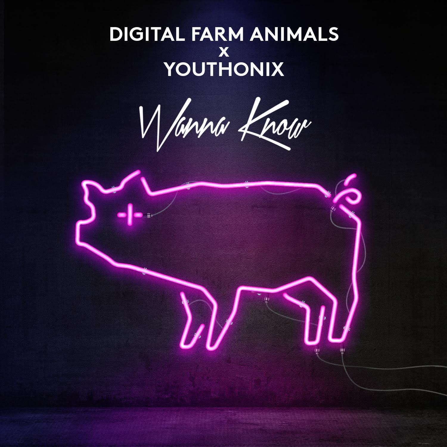 wanna know, digital farm animals, youthonix, pete tong, essential mix, essential new tune, essentials, all gone pete tong