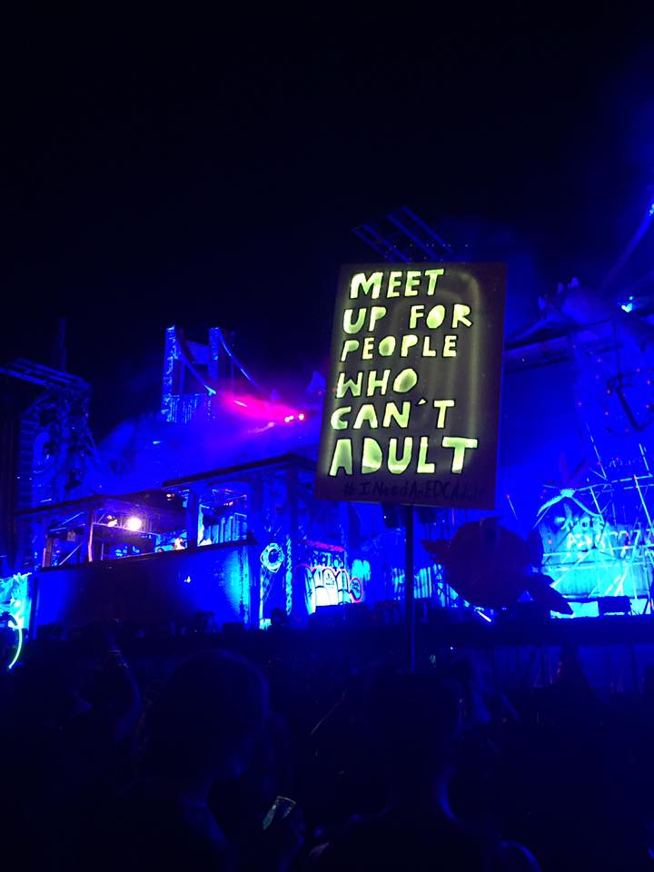 Favorite Totems From EDC Las Vegas 2016