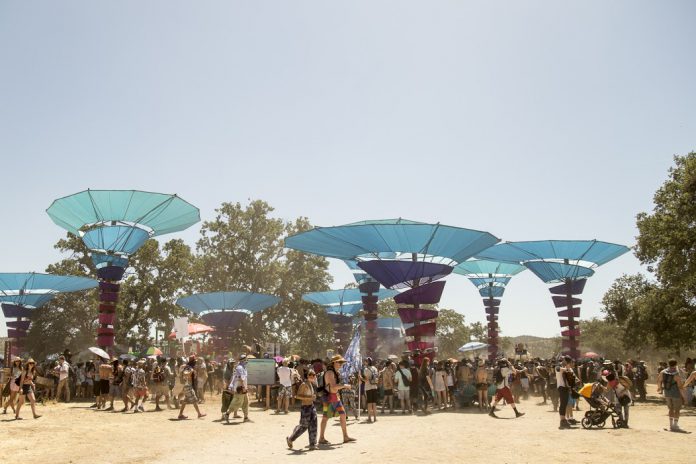 Woogie Lightning In A Bottle 2016