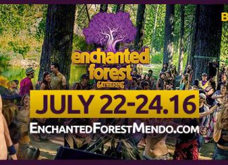 Enchanted Forest Gathering 2016