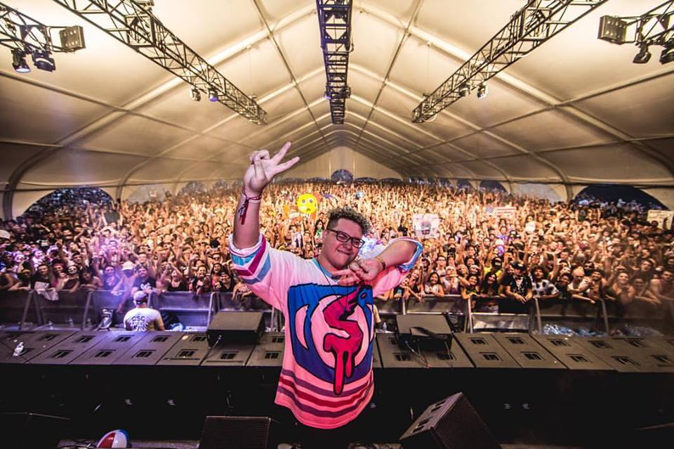 Slushii Crowd Photo Resolution 2017