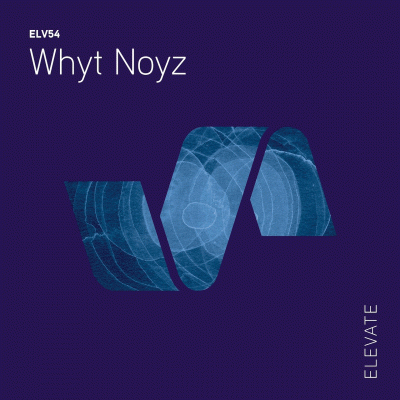 whyt-noyz