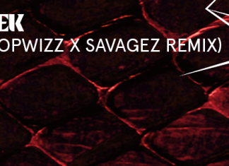 showtek - swipe dropwizz x savagez remix
