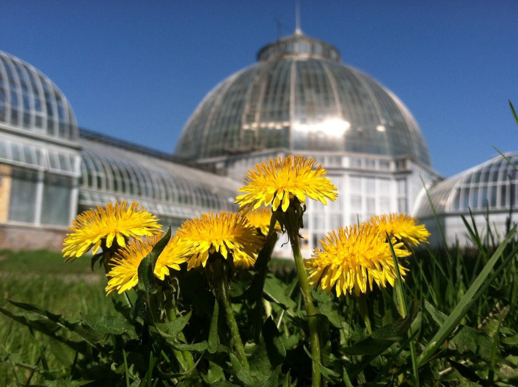 Anna Scripps Whitcomb Conservatory