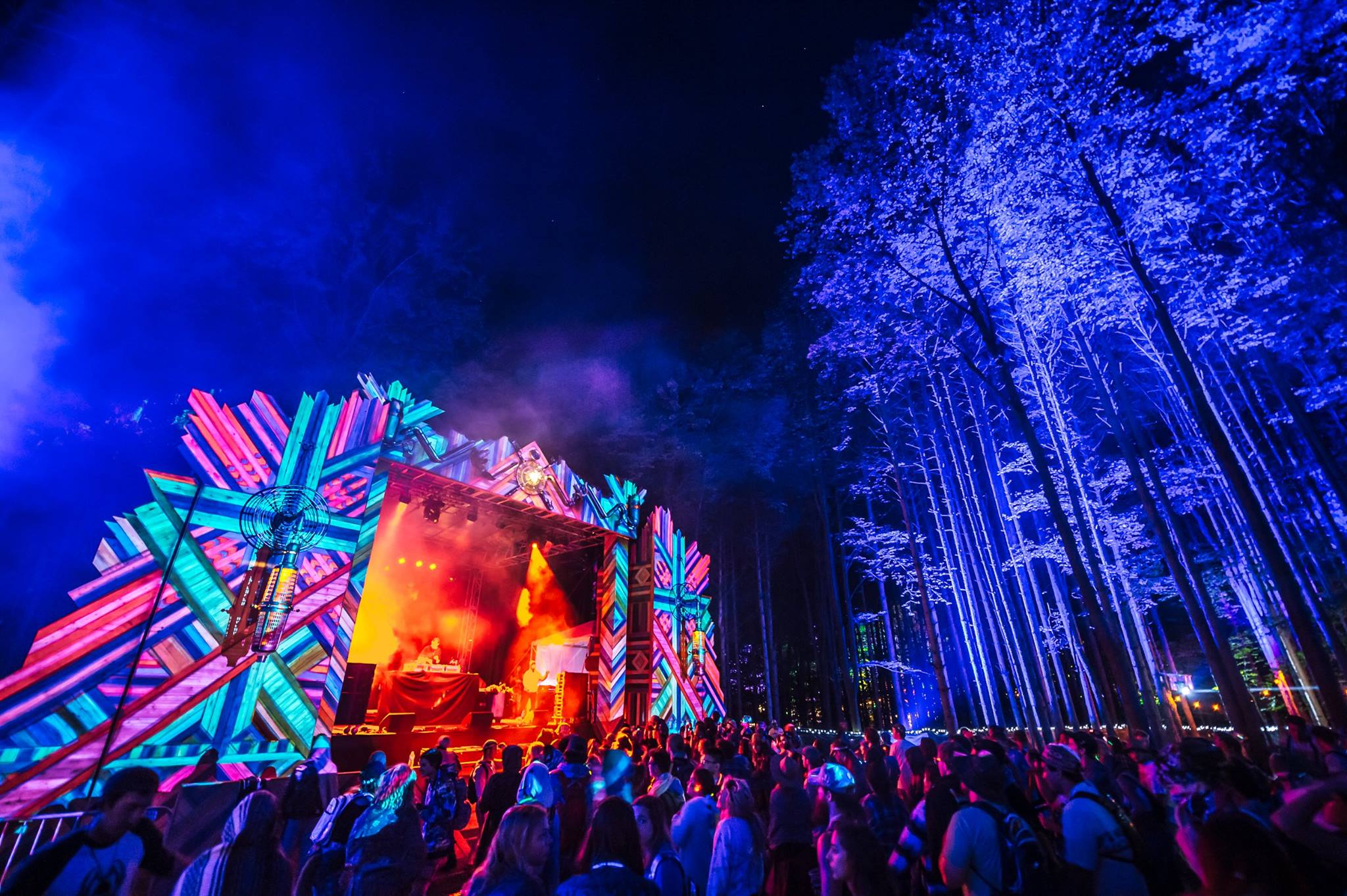 Photo Credit: Electric Forest. 