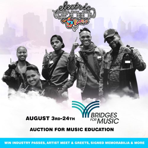 Electric Zoo 2017 Charity Auction