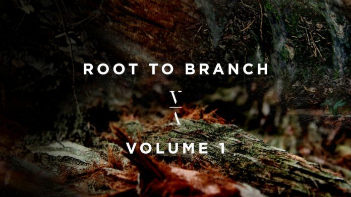 Lane 8 Root To Branch Volume 1 Album Art