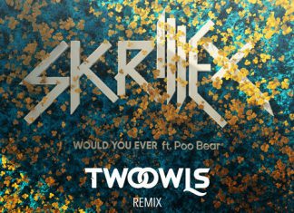 Skrillex Would U Ever TWO OWLS Remix