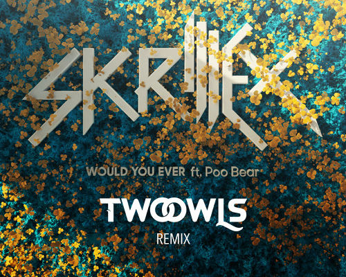 Skrillex Would U Ever TWO OWLS Remix