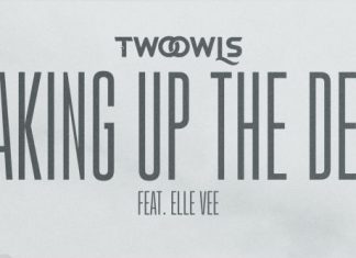 TWO OWLS "Waking Up the Dead" feat. Elle Vee