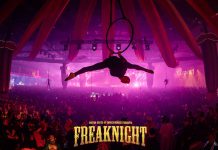 FreakNight 2017 Aerial Performer