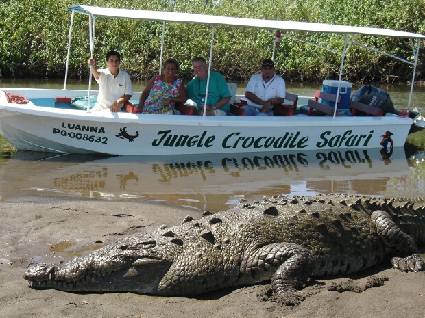 costa rica jungle_crocodile_safari_tour_picture