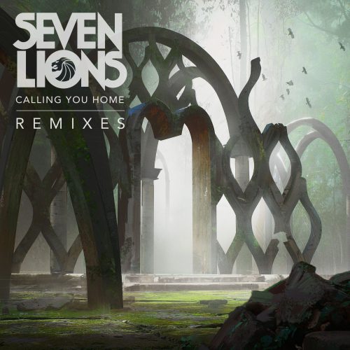 Seven Lions Calling You Home Remixes