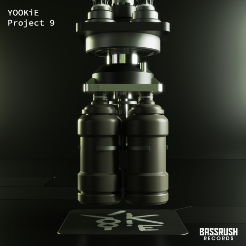 YOOKiE Project 9