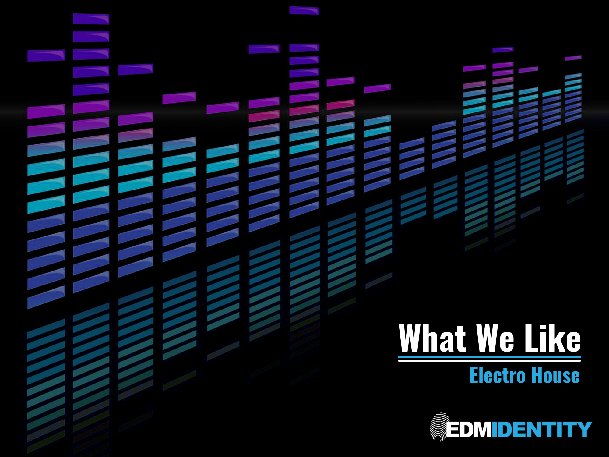 What We Like - Electro House (4x3)