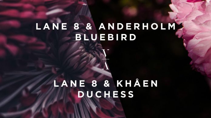Lane 8 Bluebird / Duchess EP