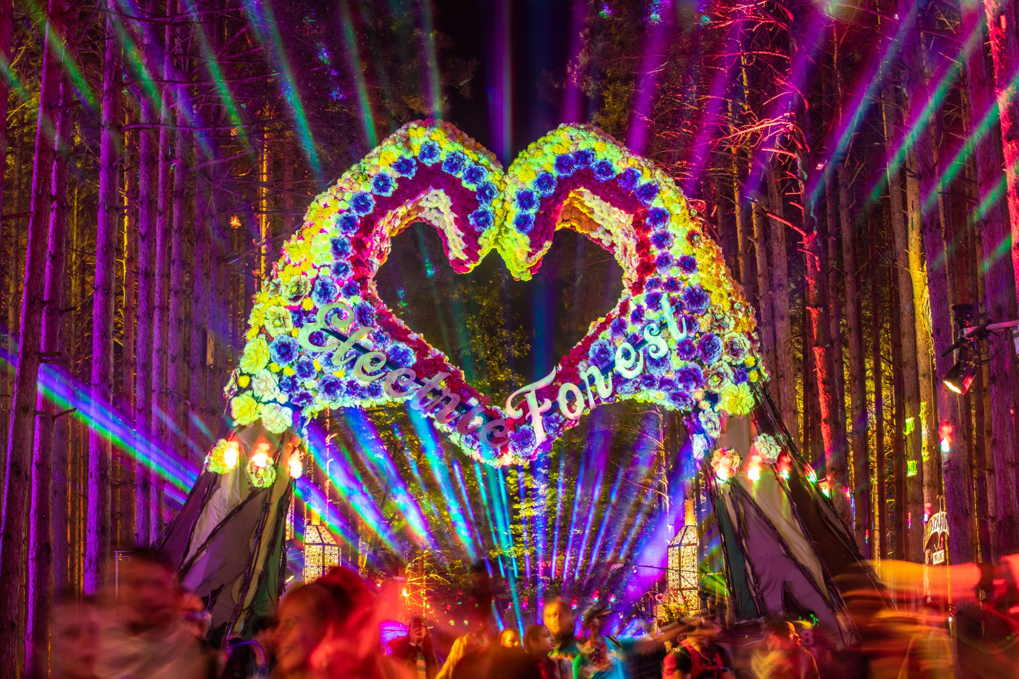 Photo Credit: Electric Forest. 