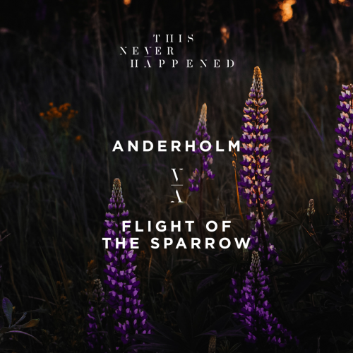 Anderholm Flight of the Sparrow