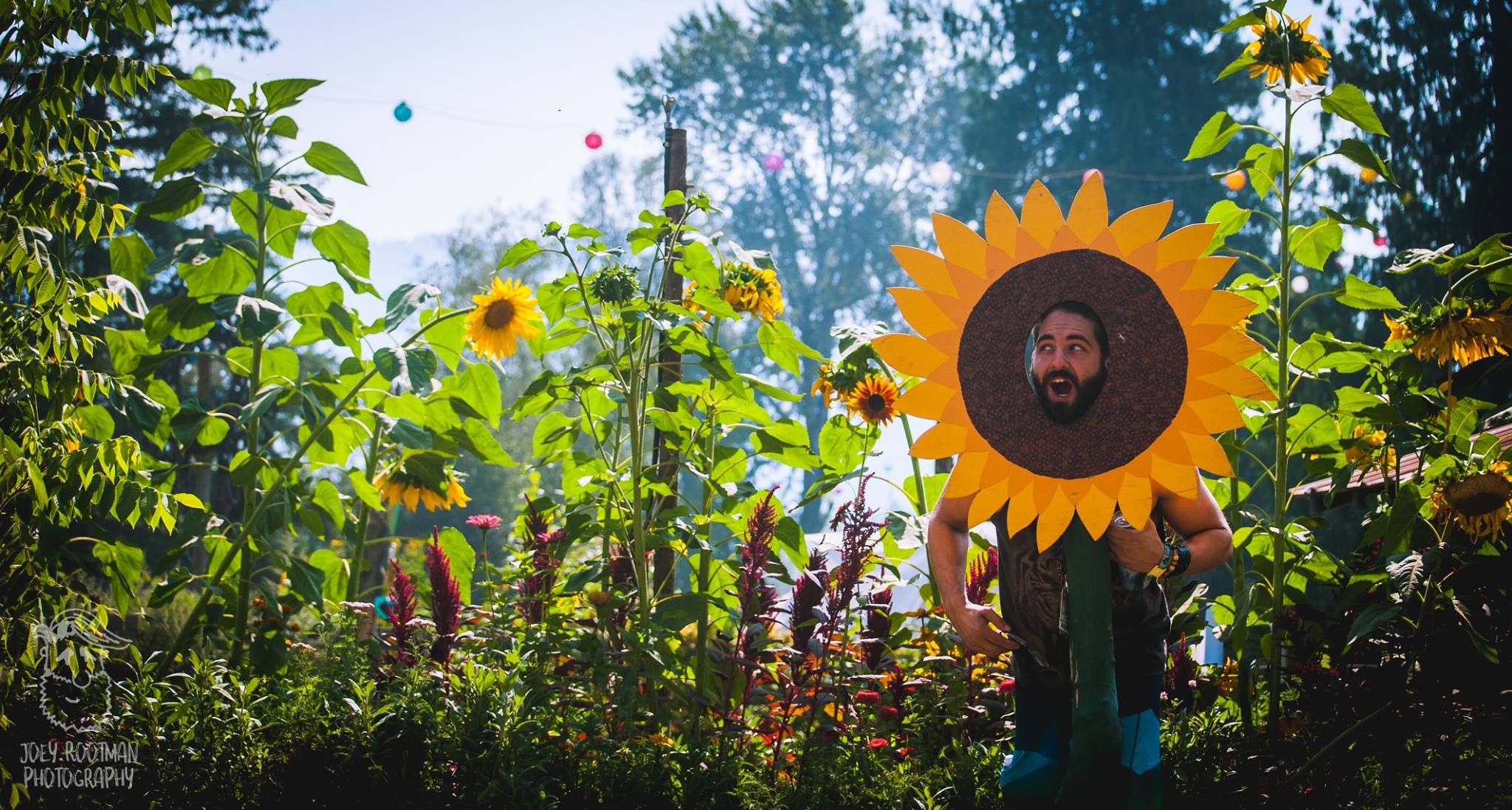 Shambhala 2018 Sunflower Guy Joey Rootman