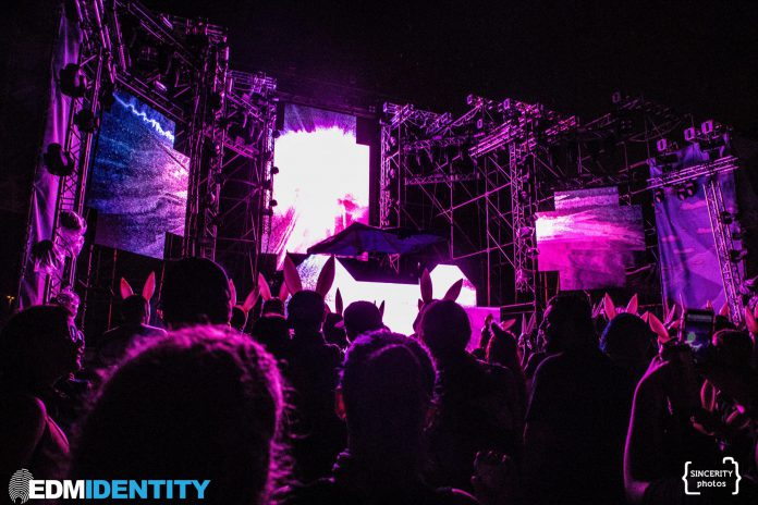 Goldrush Music Festival Bunny Ears Tokimonsta Goldrush Music Festival Bunny Ears Tokimonsta