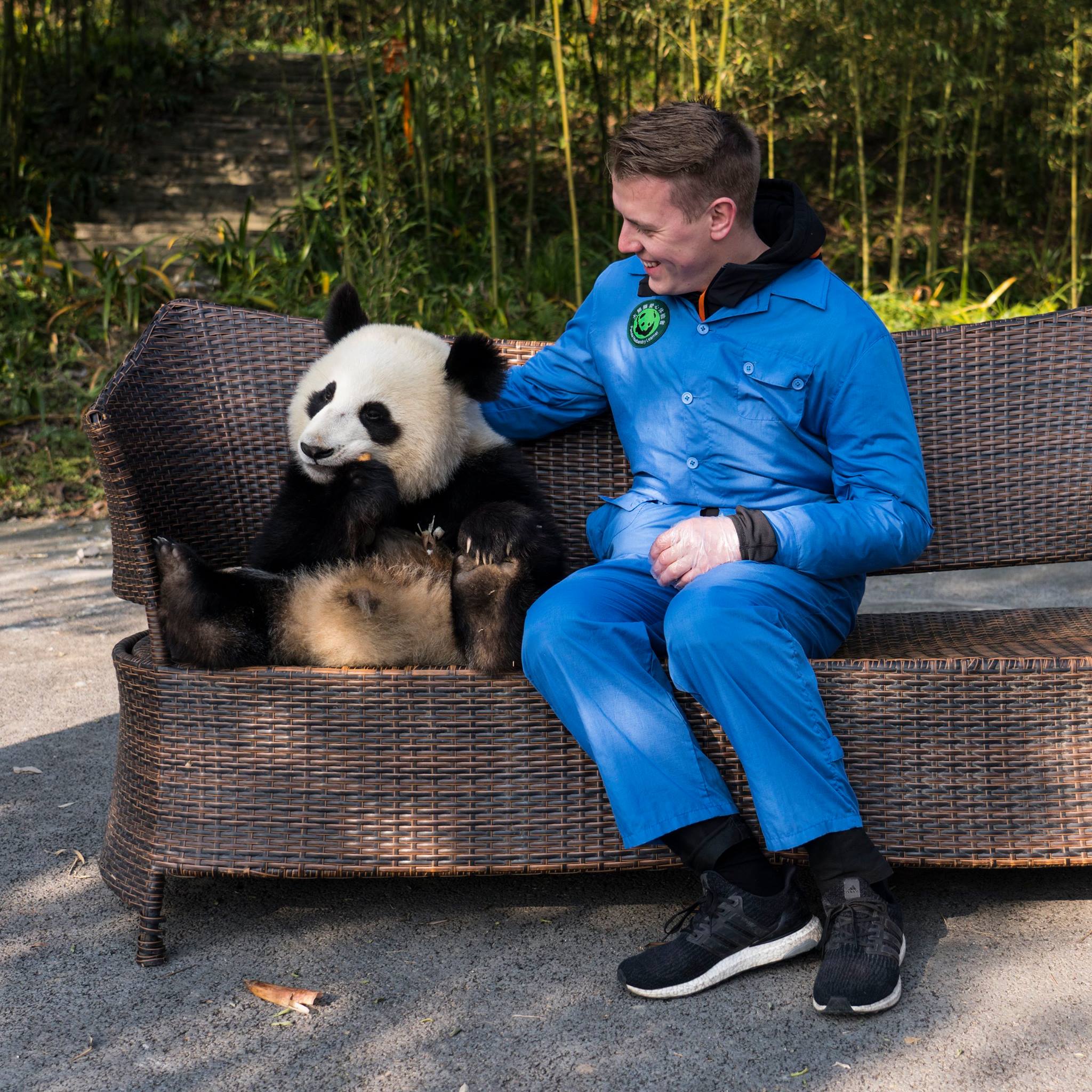 Martin Jensen Panda