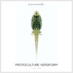 Protoculture - Versiform Part 1