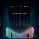 Amon Tobin - Fear in a Handful of Dust Cover