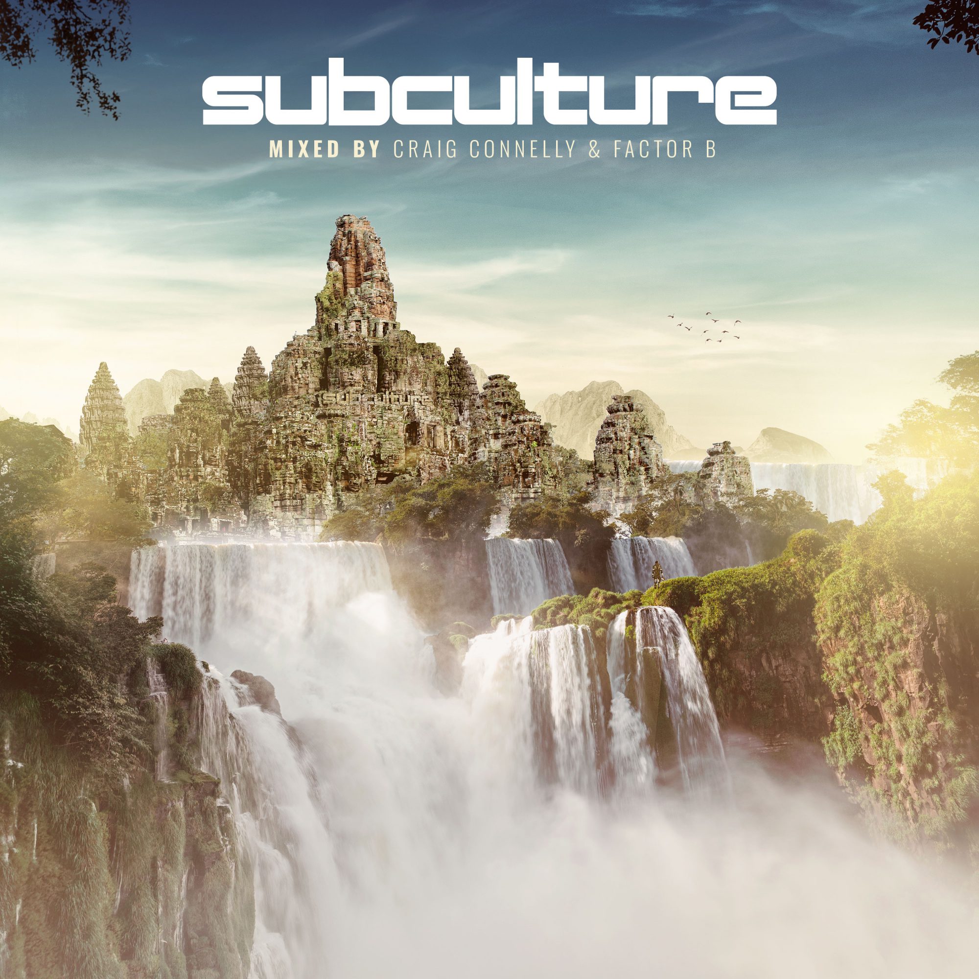 Subculture Mixed by Craig Connelly & Factor B Cover Art