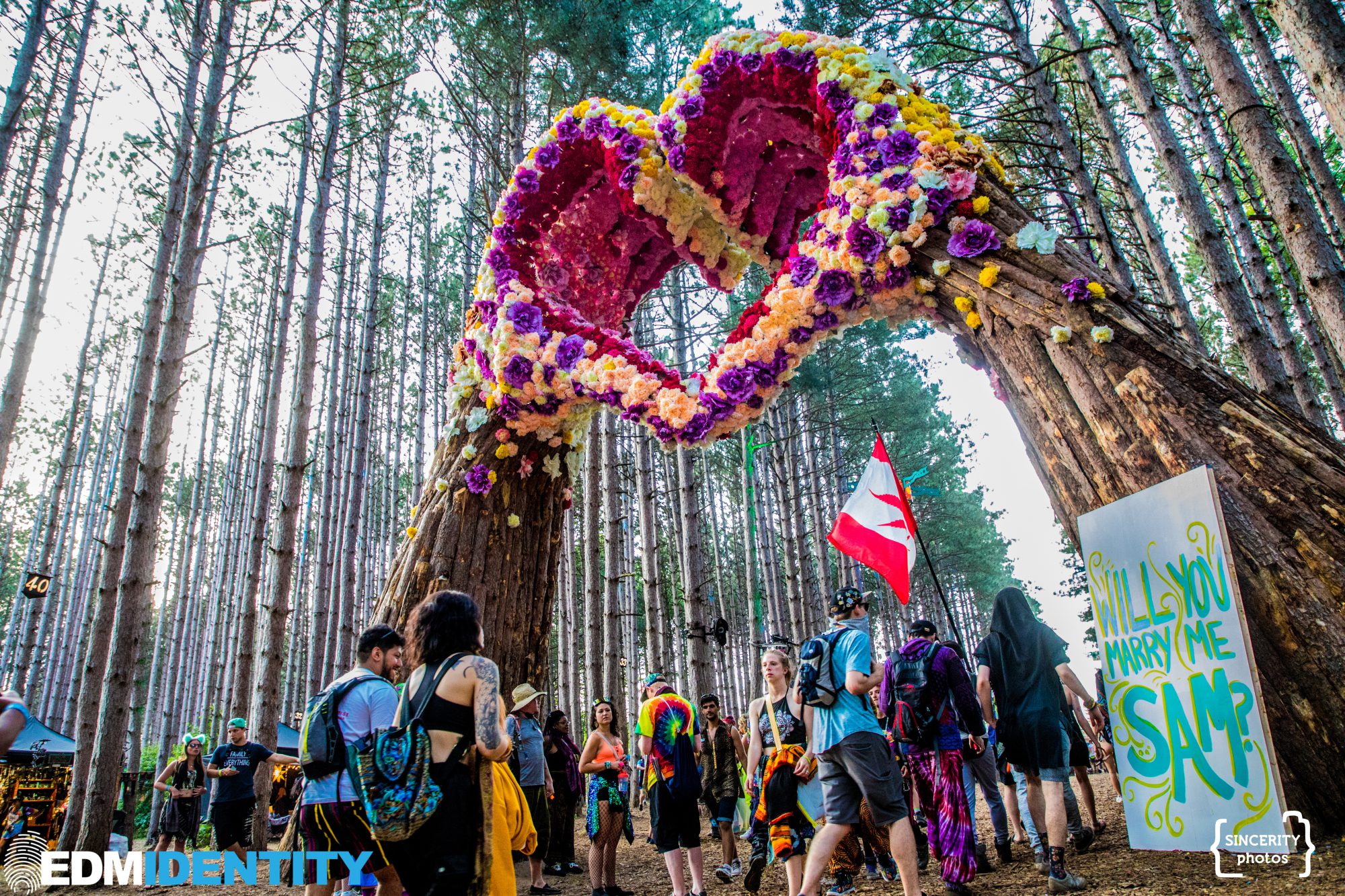 Electric Forest 2019 Proposal