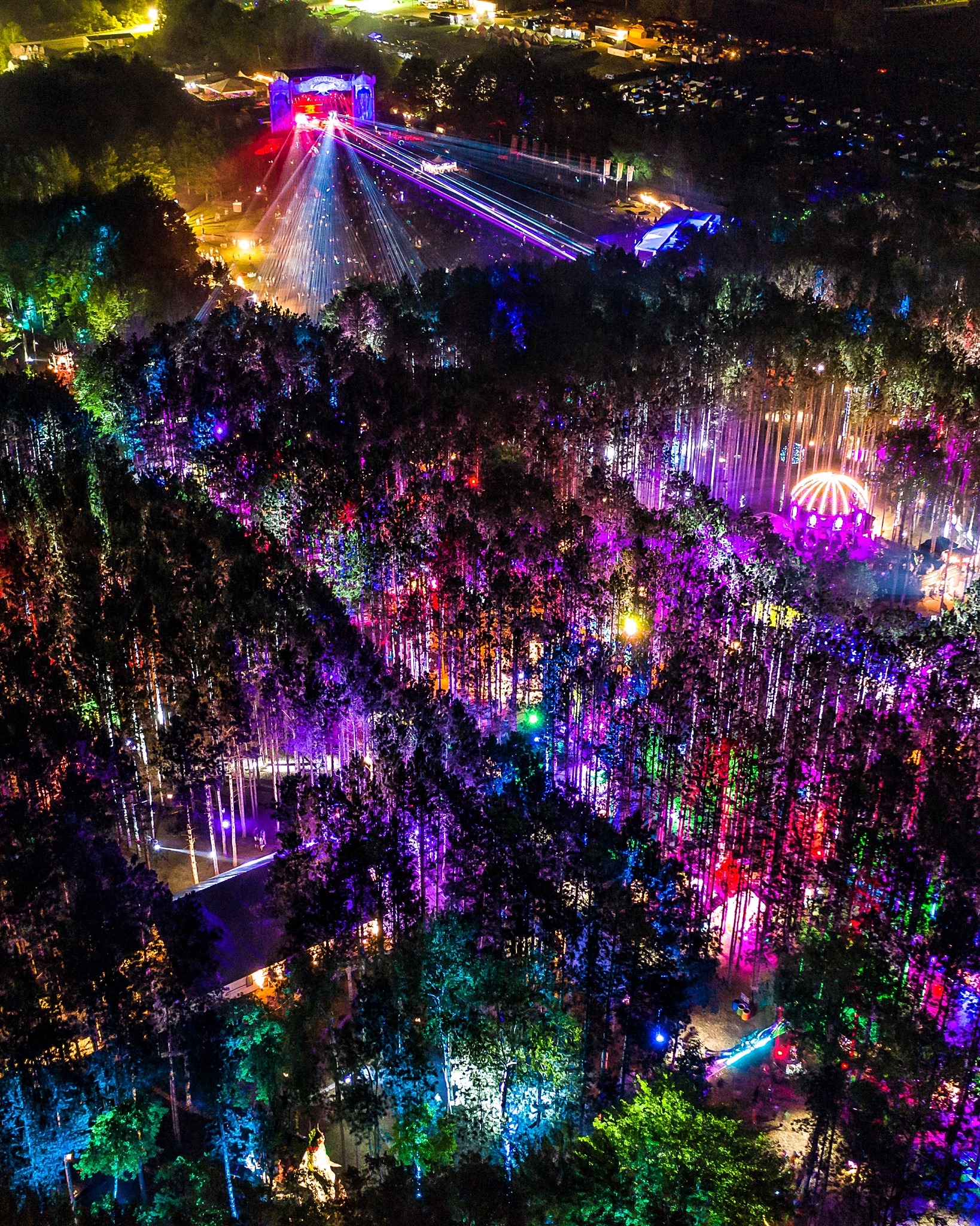 the forest 2019