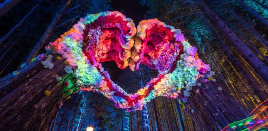 Electric Forest 2019