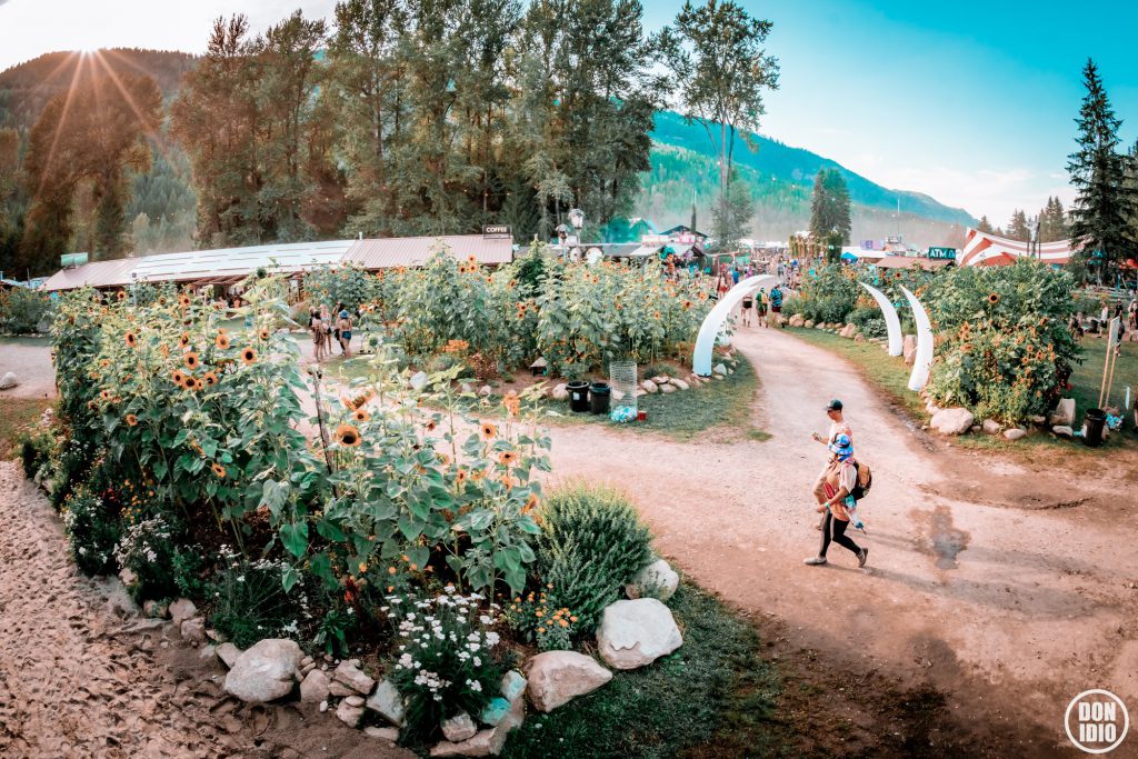 Shambhala 2019 Sunflower Garden