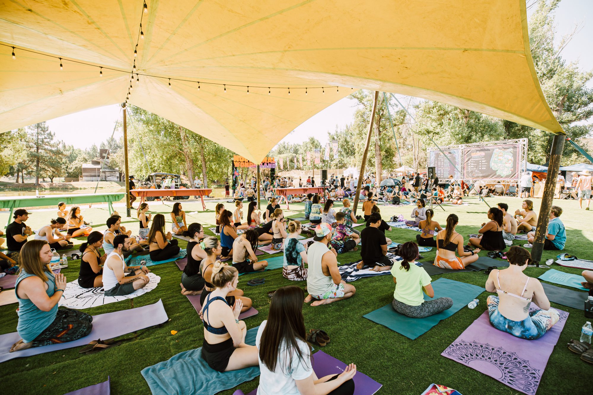 Nocturnal Wonderland 2019 Yoga