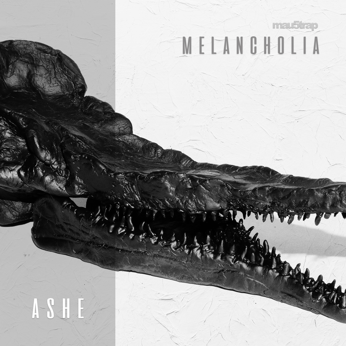 ASHE Explores Emotions on New EP, 'Melancholia' | EDM Identity