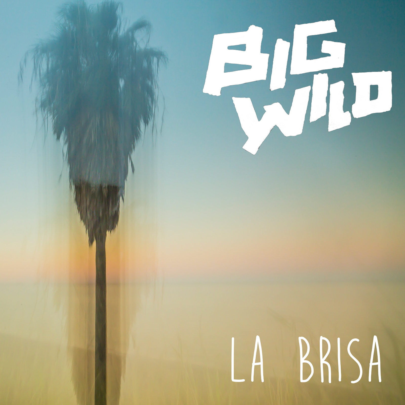 Big Wild La Brisa