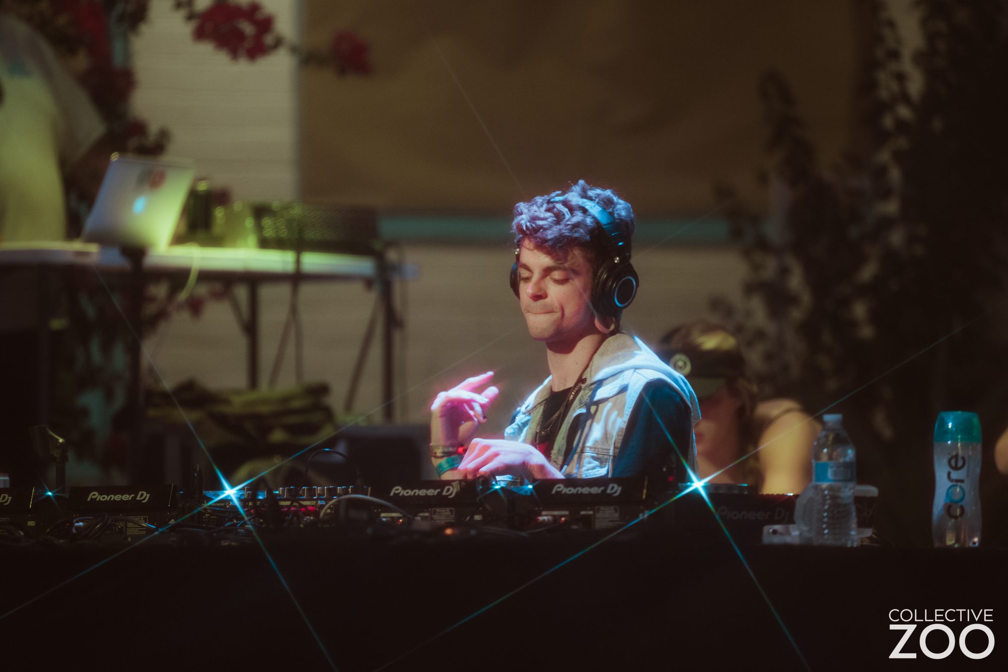 Morelia at Collective Zoo