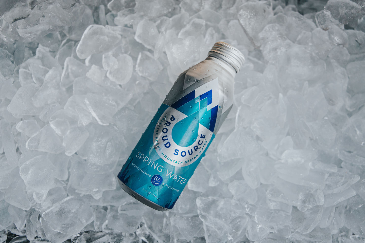 Reusable Proud Source Water Bottle at SnowGlobe Music Festival