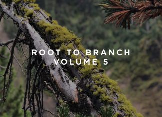 This Never Happened Root To Branch Volume 5