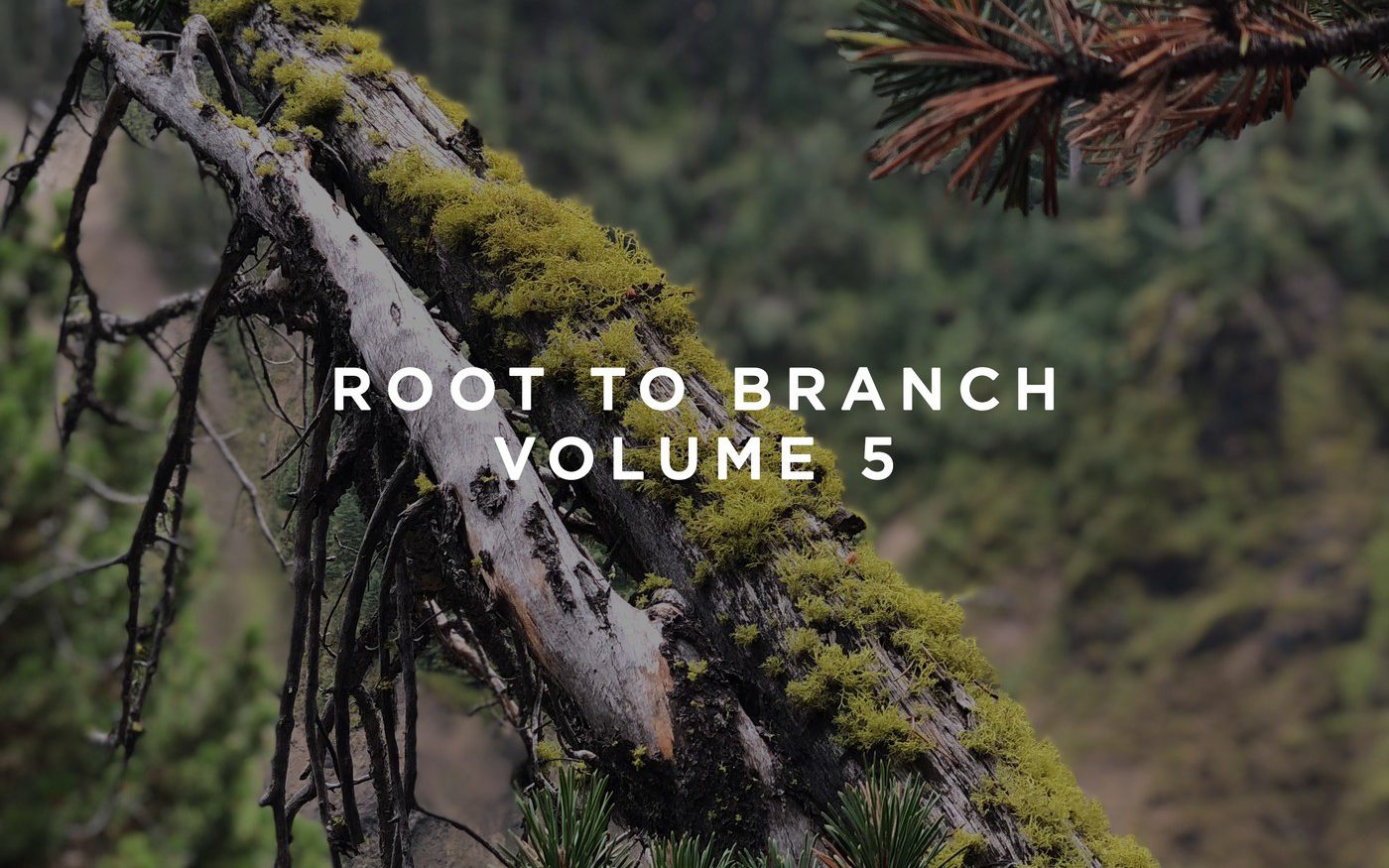 This Never Happened Root To Branch Volume 5