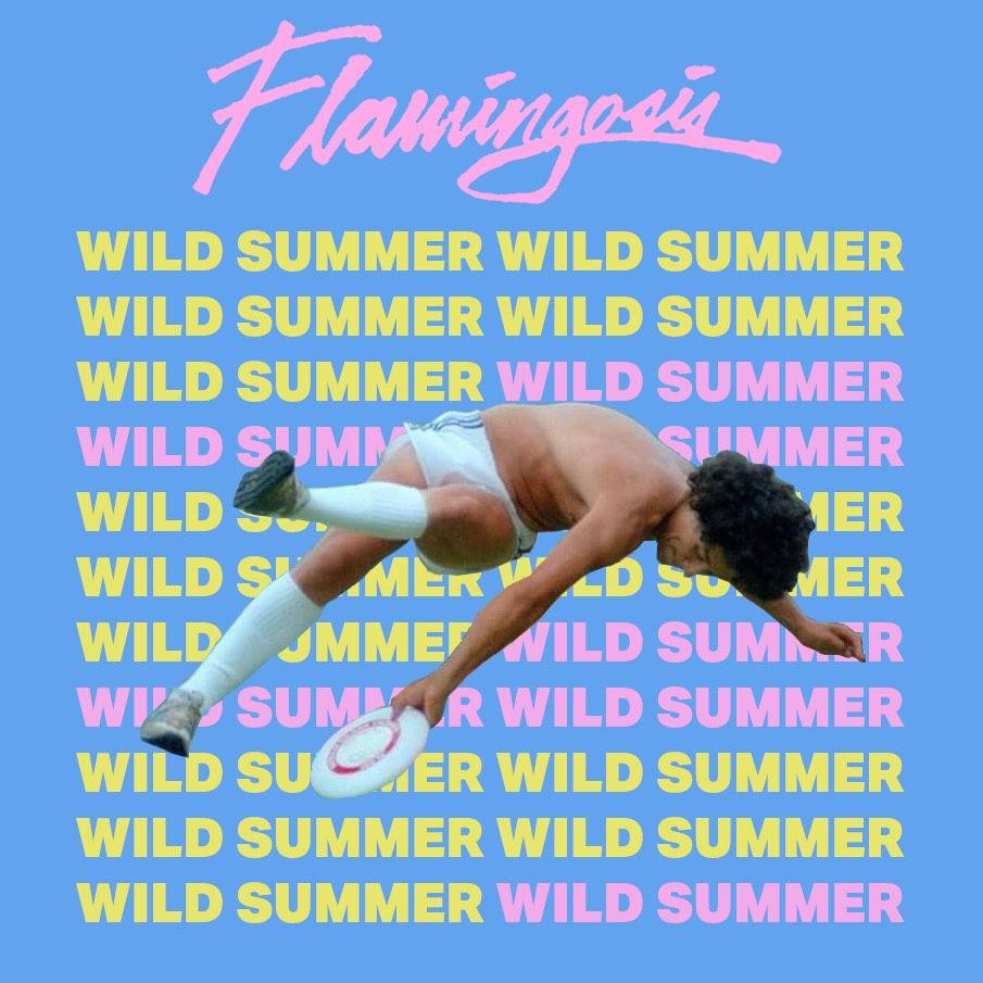 FLAMINGOSIS Wild Summer