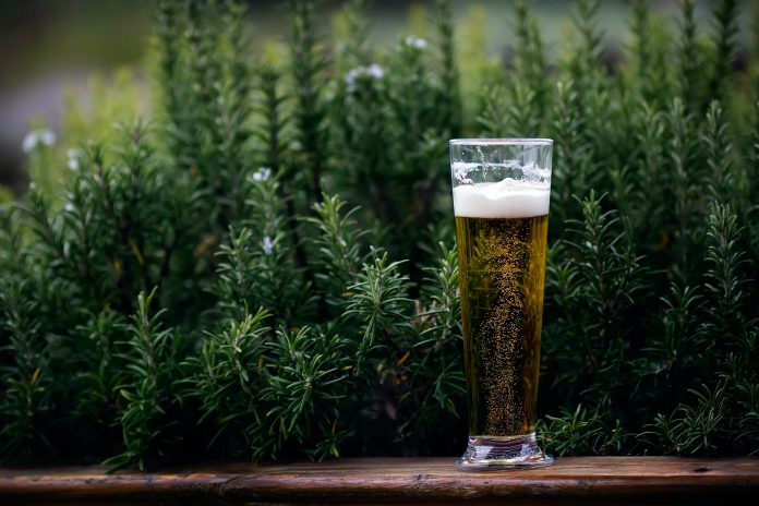 International Beer Day International Beer Day