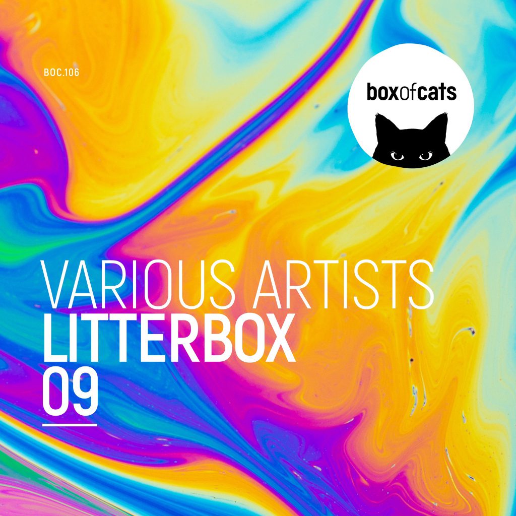 Box Of Cats - Litterbox 09