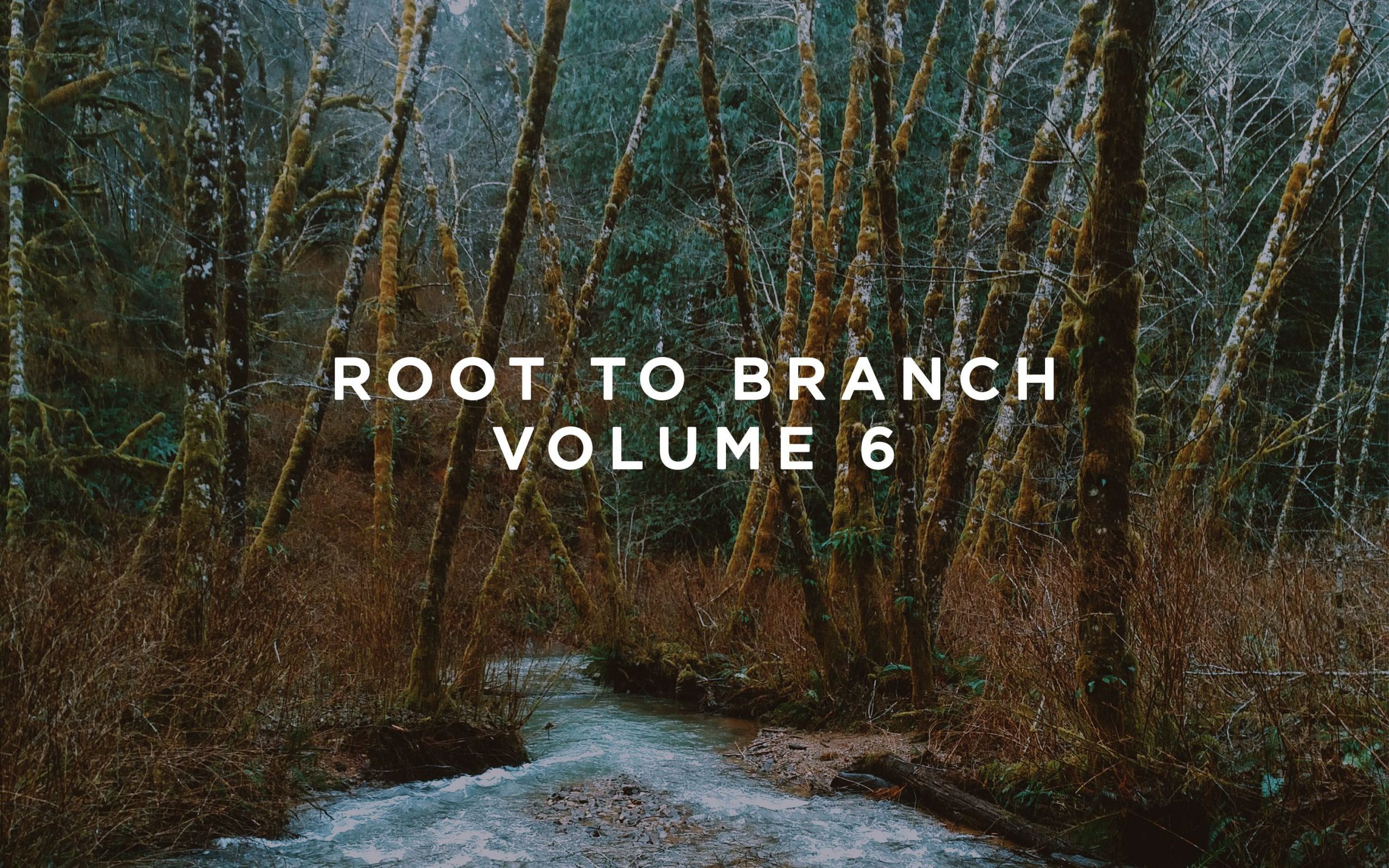 This Never Happened Root to Branch Vol. 6