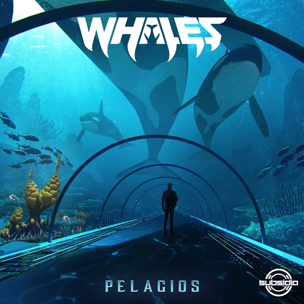 Whales - Pelagios