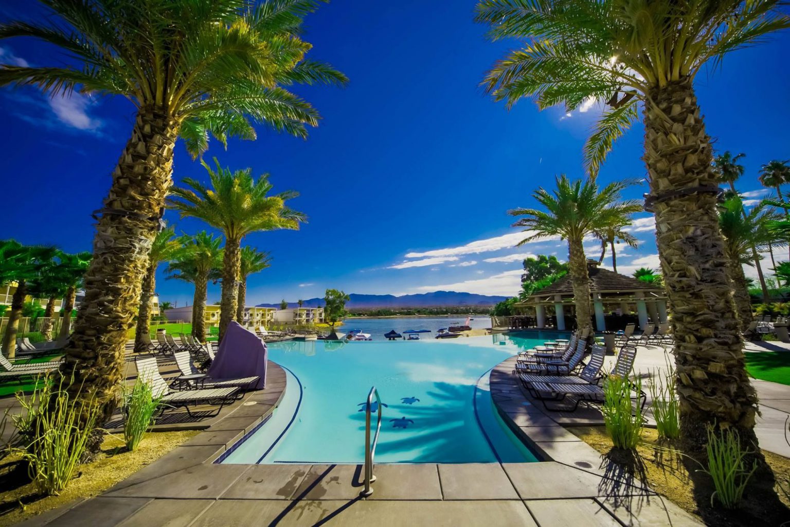 Lake Brownies & Lemonade Drops Inaugural Lineup EDM Identity