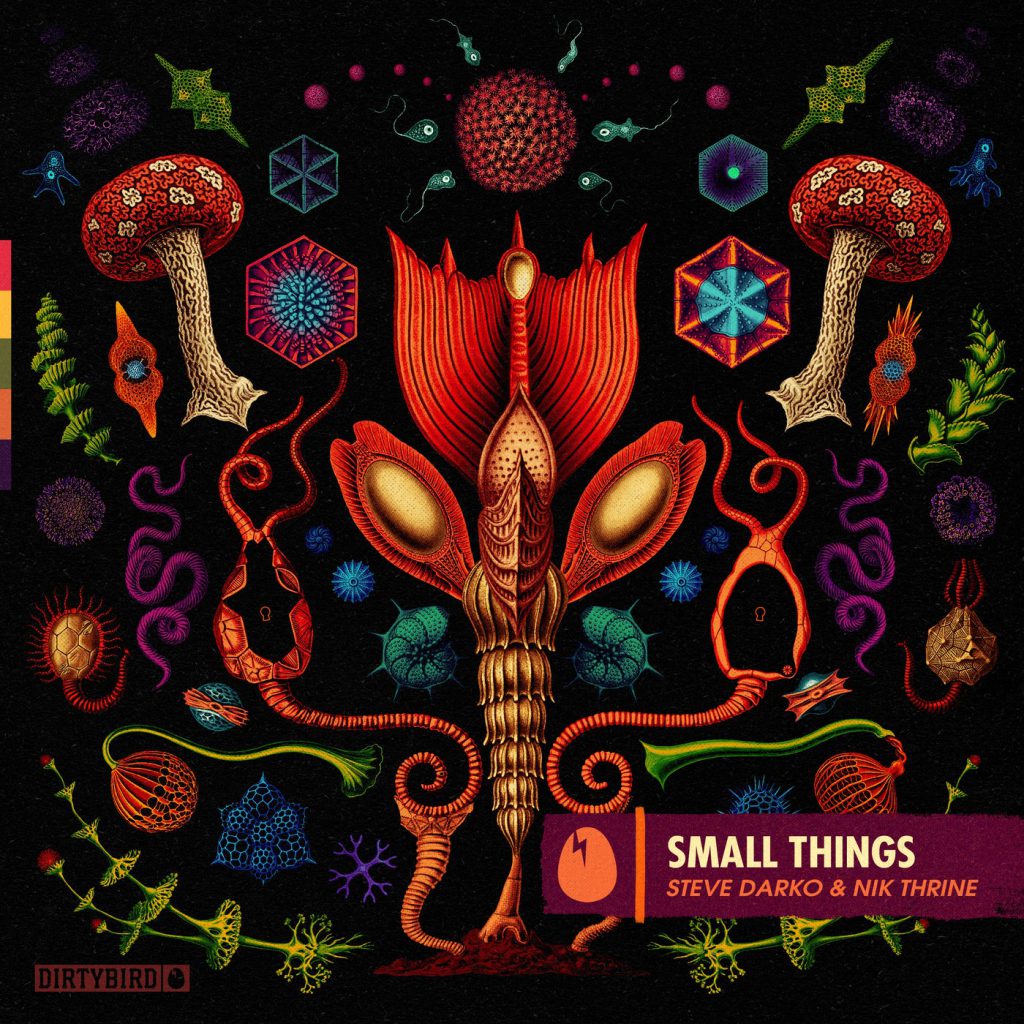 Steve Darko & Nik Thrine - Small Things