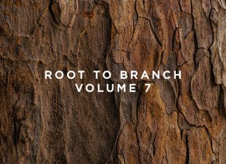 This Never Happened Root to Branch Vol. 7