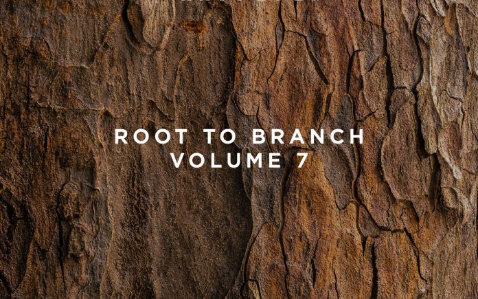 This Never Happened Root to Branch Vol. 7
