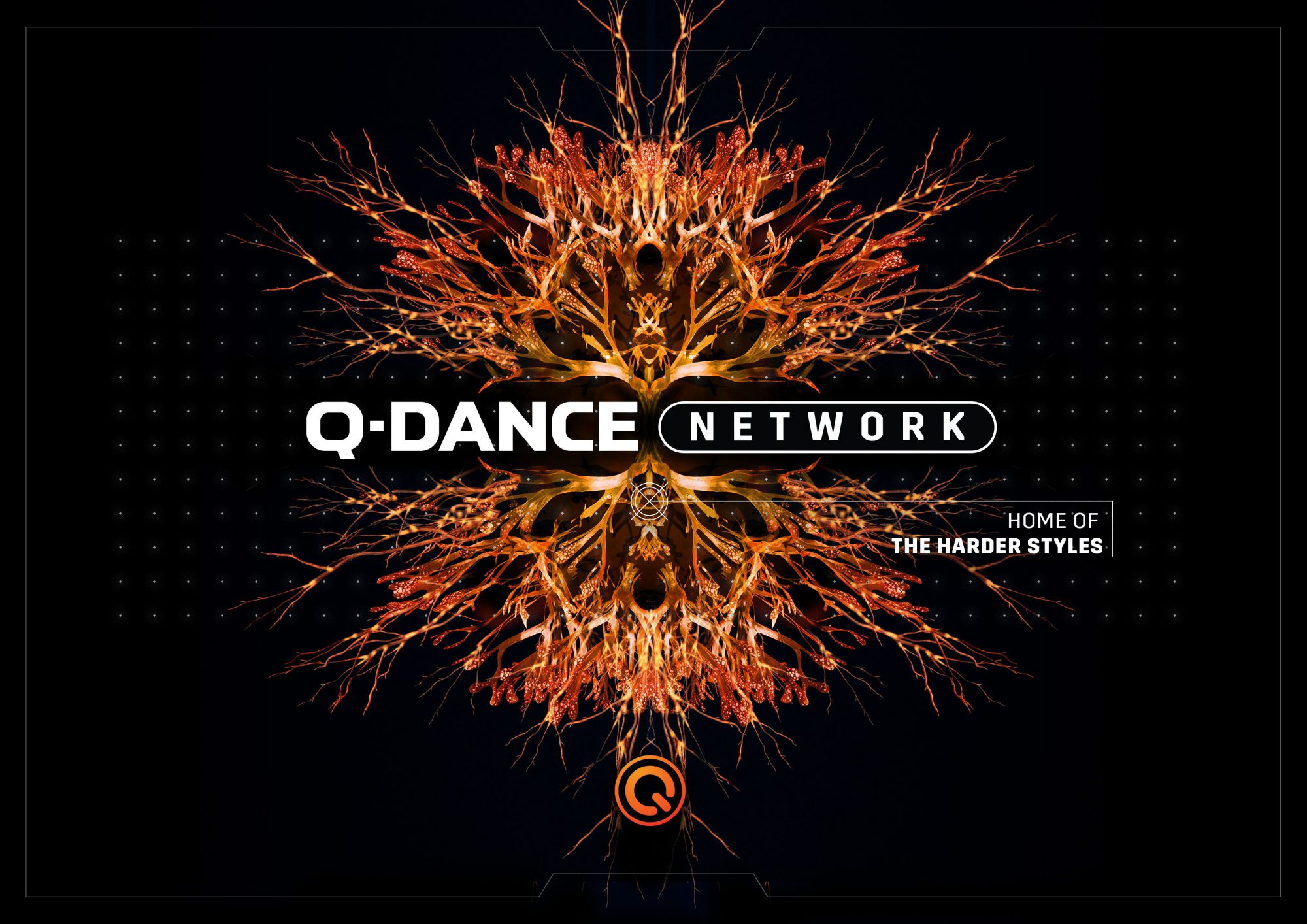 The Q-dance Network